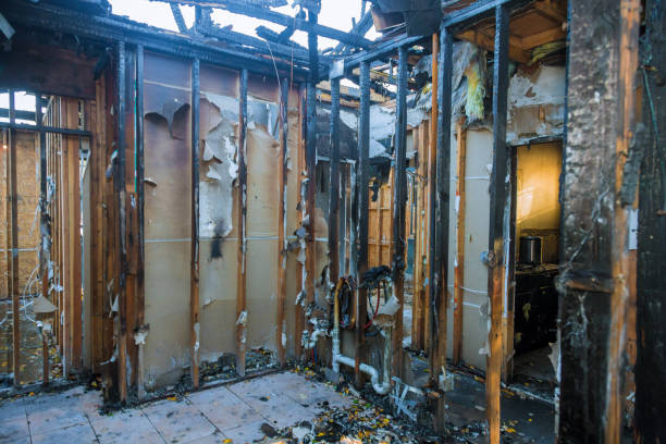 Professional Fire Damage Removal technician working in Franklin, TX